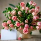 【ミニバラの育て方】種まきと苗の鉢植え・地植え、寄せ植えの方法は? ミニバラ
