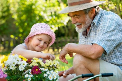 敬老の日 花 子供 老人