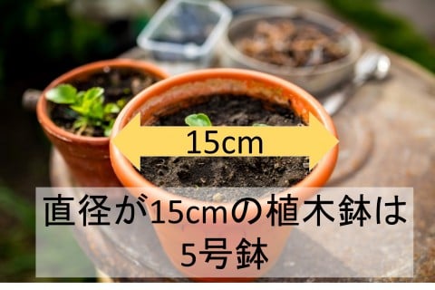 植木鉢 号数 サイズ 大きさ