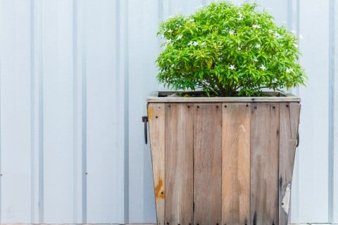 木製 木の鉢 植木鉢