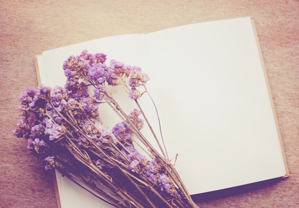 ドライフラワーとは 作り方やおすすめの花材は Horti ホルティ By Greensnap