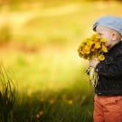 お祝いの花|祝い花の種類と名前、相場は?