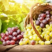 ブドウ Horti ホルティ By Greensnap