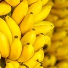 バナナの木の種類まとめ!花や葉、実の特徴は? バナナ