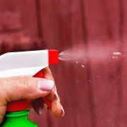 鉢底石はどうして必要 ないときは何で代用する Horti ホルティ By Greensnap