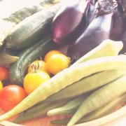 シシトウ 獅子唐 の栽培 育て方のコツや種まき 苗植えは Horti ホルティ By Greensnap