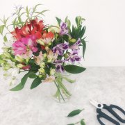 アルストロメリアの育て方 球根の植え方 挿し木や植え替えの方法は Horti ホルティ By Greensnap