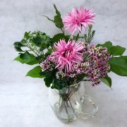 秋の花 ケイトウ を使って 花瓶と花材のバランスを研究してみよう Horti ホルティ By Greensnap