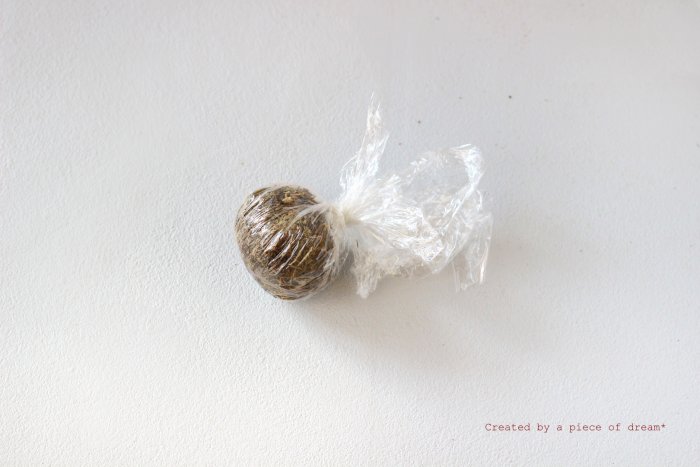 多肉植物 苔玉 寄せ植え